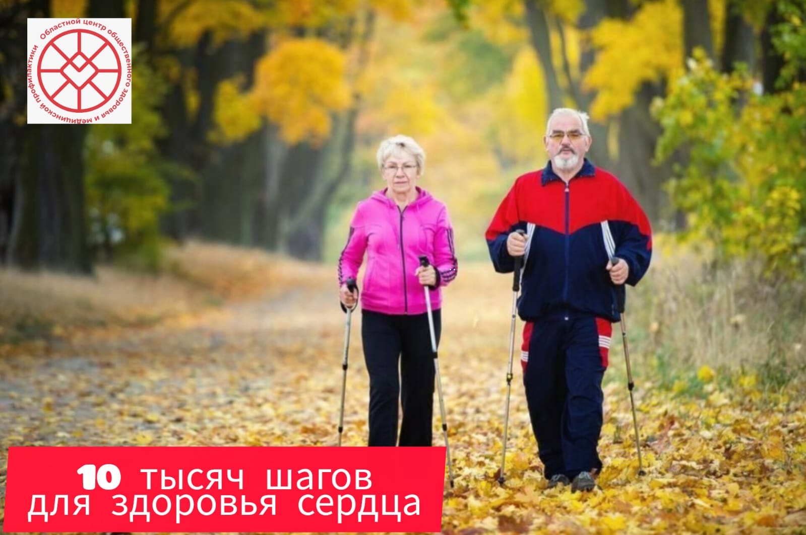 Сообщение Сообщение